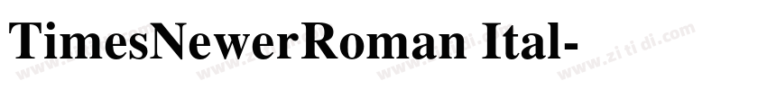 TimesNewerRoman Ital字体转换